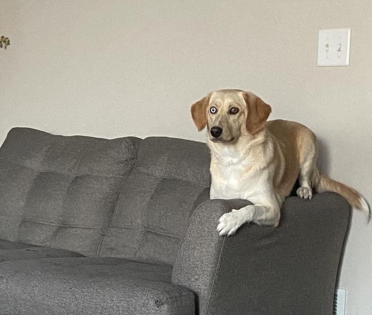 9601135a2db9f4950a200de019