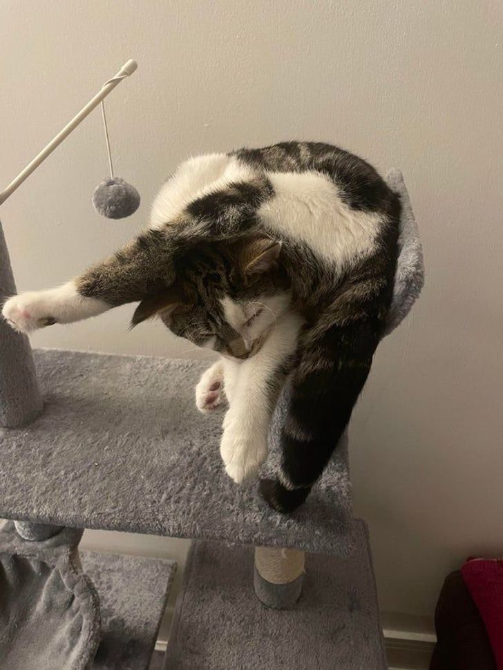 9602e25bdeb9ed1f5abd816cc6