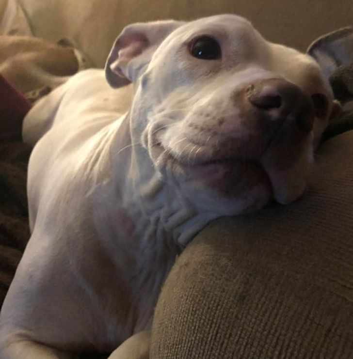 9609455d17b78094962d5f71f3