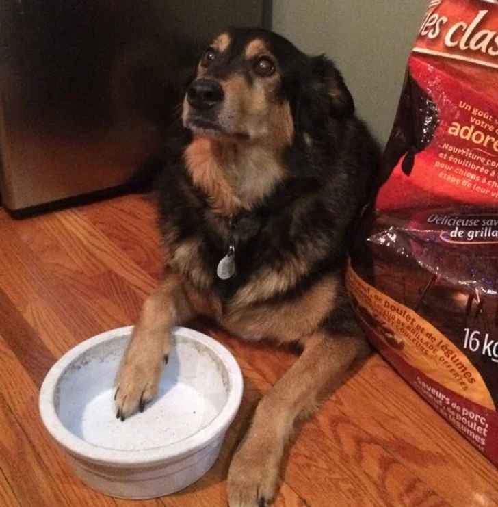 960b9959148d97db5be4c827ae