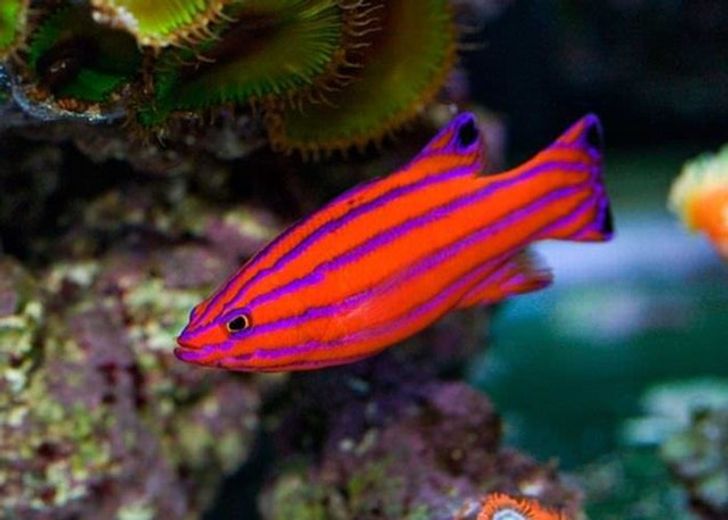 960ecc5af98a4e4f83841b02b2