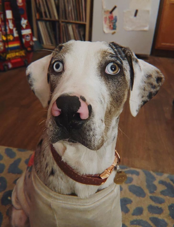 96171c56bbb02d1f42d114c28e 96171c56bbb02d1f42d114c28e