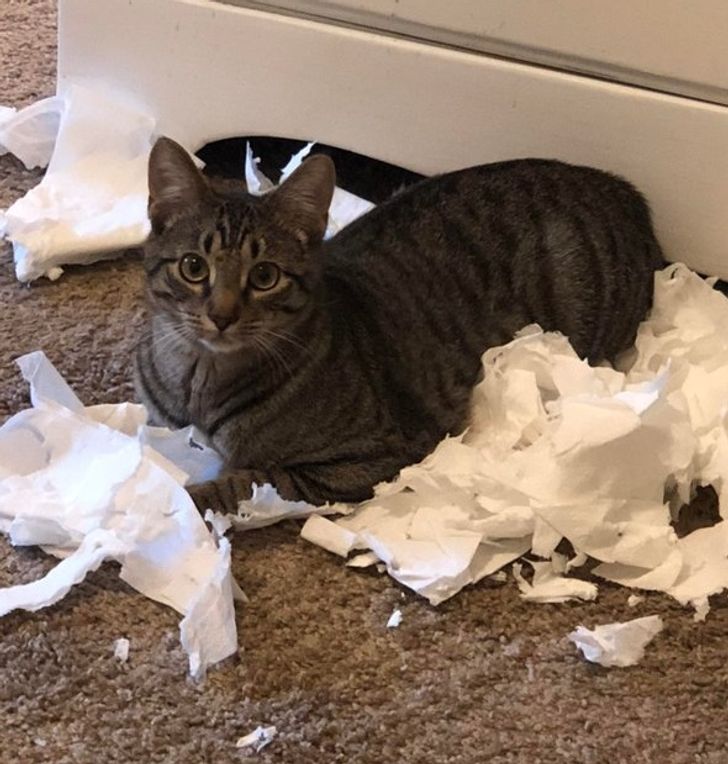 96184a52d3b6c1121d319970f0