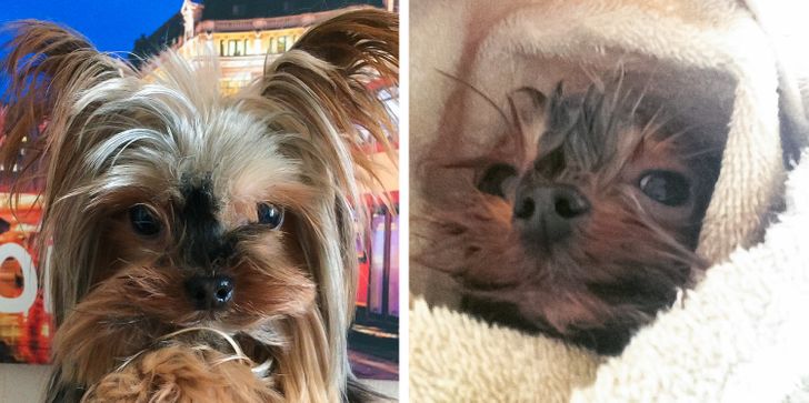 961c6b548793354719726f90b4