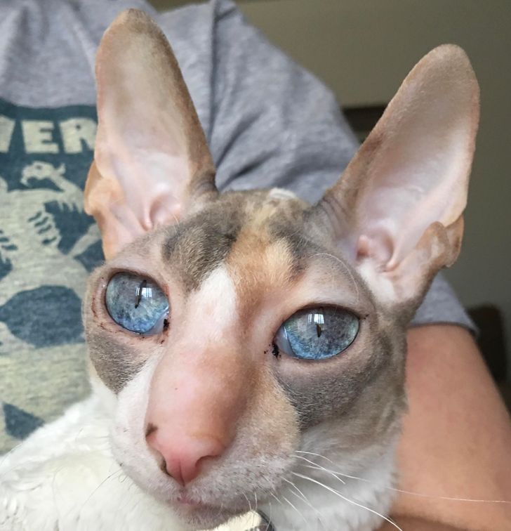 961d355bc5aaf803d0a7099222