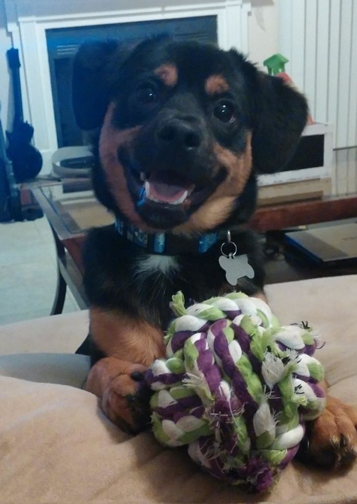 961d635086a0923af53f0a7195