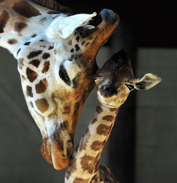 961e9e5f4e890a4fa03210af76