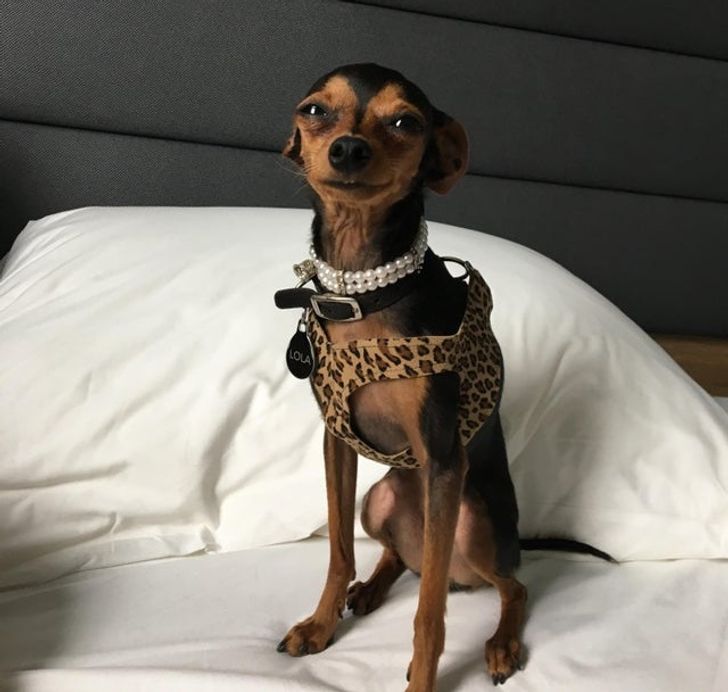 961f935cf4ab2d301bc88cd662