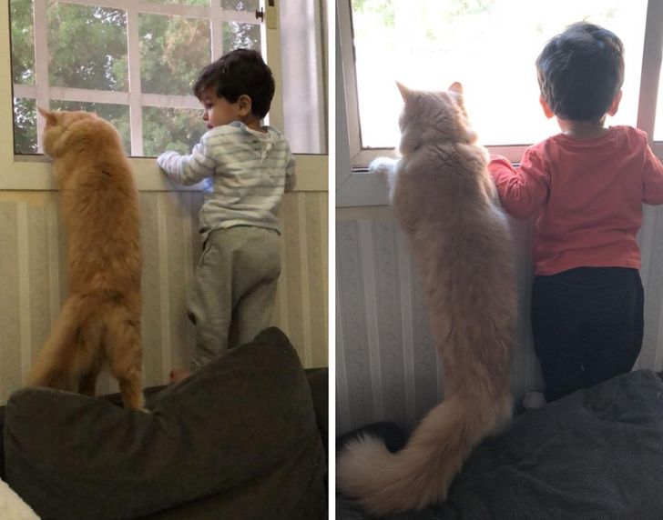 9626f15db0b70aac9978d4bf4c