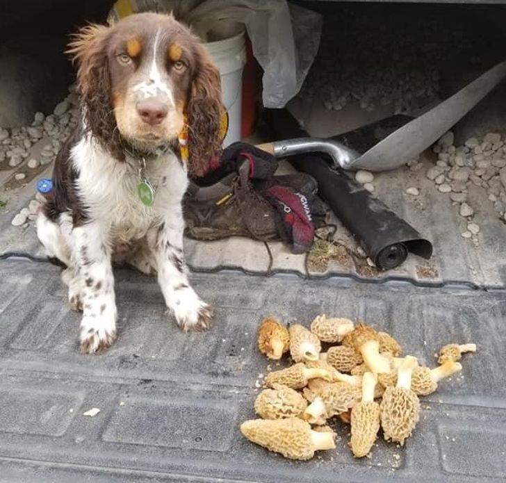 962a2f52f0b052684a758c80cb