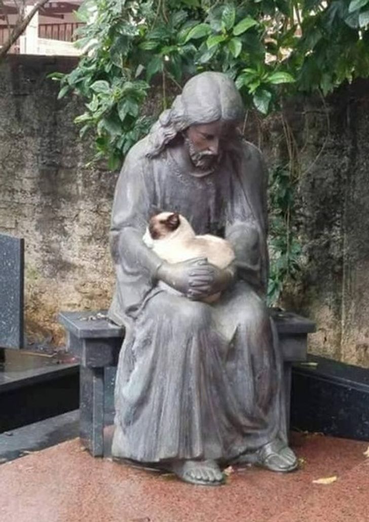 962c135fda8cab0dbafc9431b4