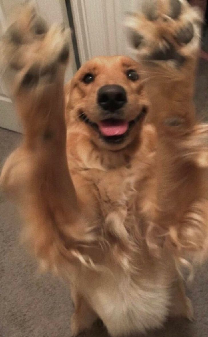 96307a5489b408b10ab20f5341