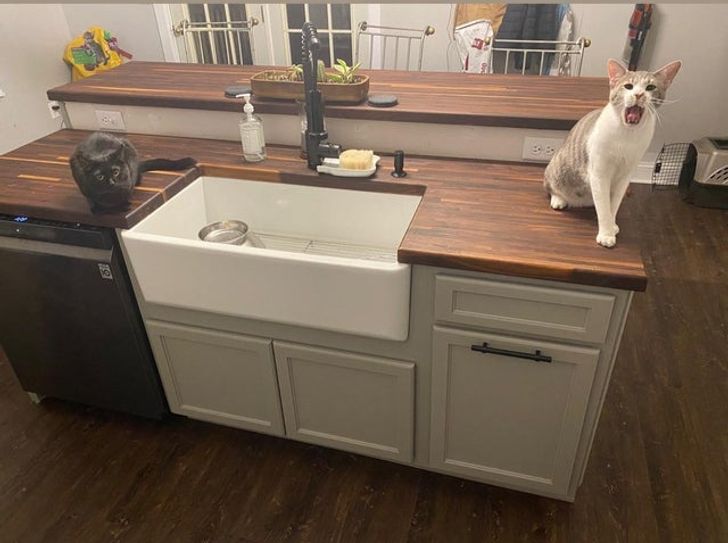 9631165504858183d8a26e3c7c