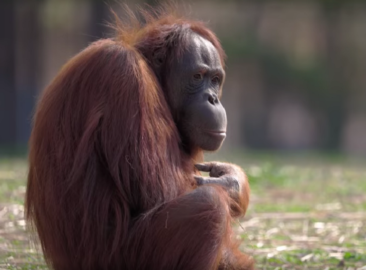 96321f592dae5e7e4e88b53f8d