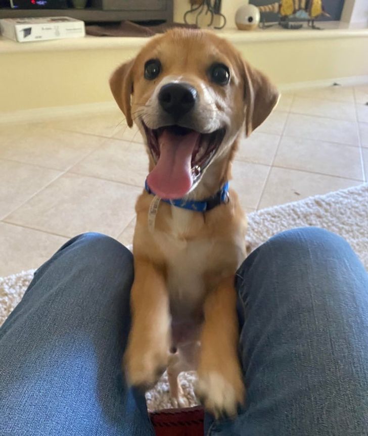 9641005723aed1ab42c4efbf19