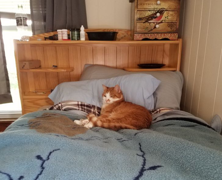 96460656f38a9a8780f0096011