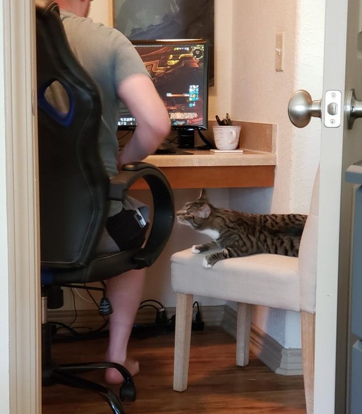 964a3c5c6b8b591b75fc2902de