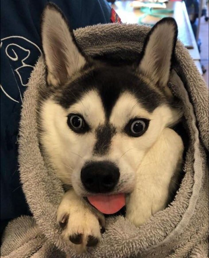 965f2153cba26c02fa5d8bba2c