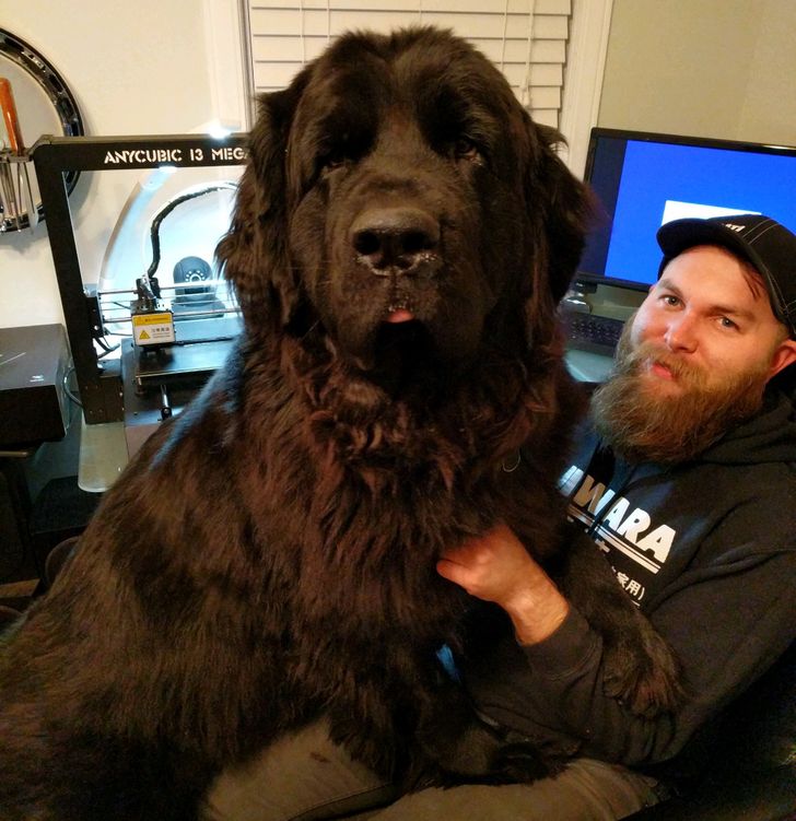 96639d5f40a1edac046af20e57