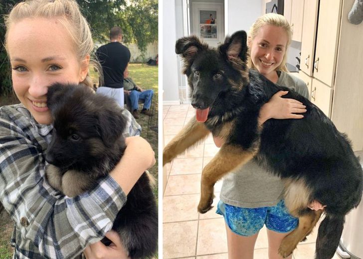 9664125037ab2e0ff1e8645028