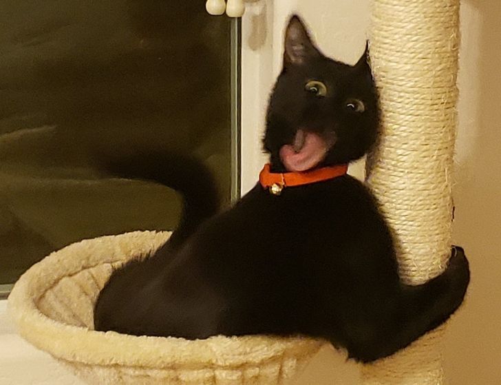 96686a55abbb603e18ce958356