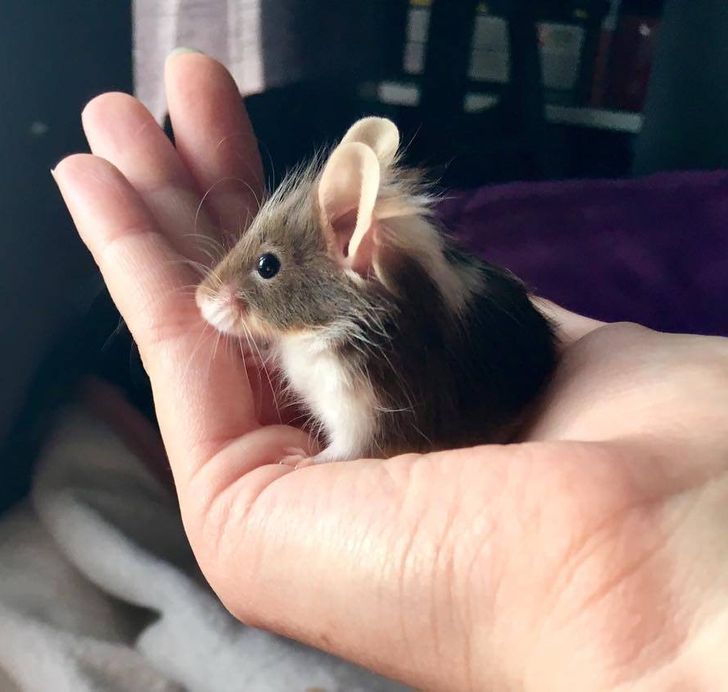 966c2f56ce8c60fb02e0d12512