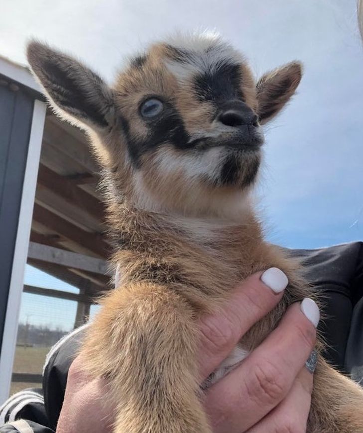 9671a05bbc960ac482665d72ad