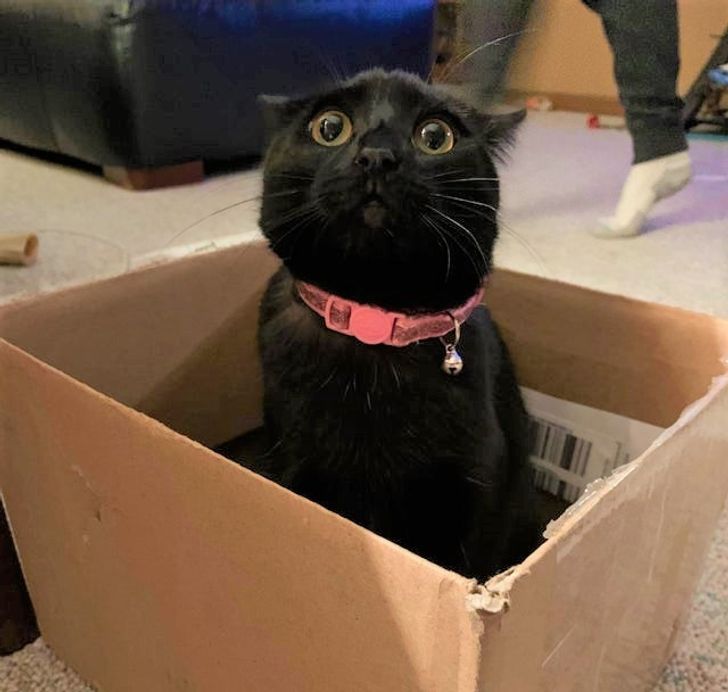 9671c35a3884474bbaab9f6484