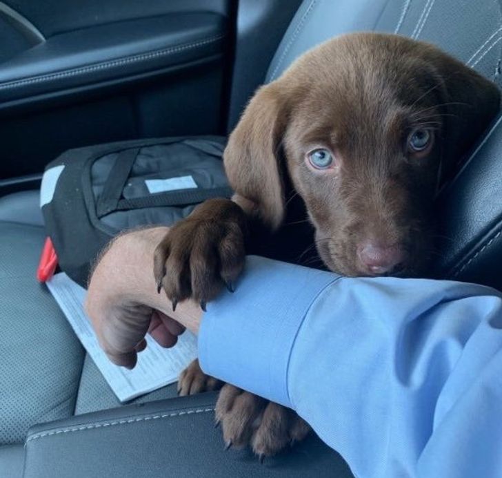 967f5a5c3a98432ce86445cefc