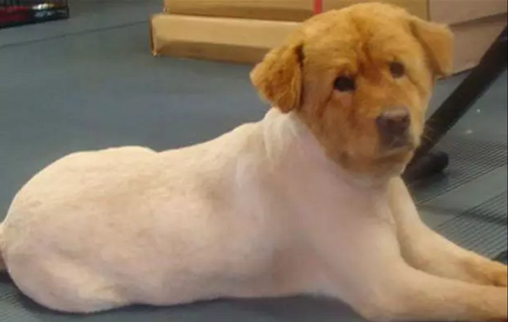 9689ac5245af830f036a62024a