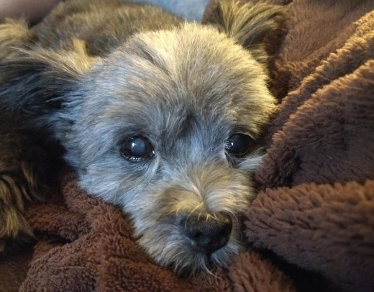 968a5f578bad5fa63b818790fc