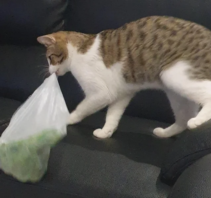 96936f5c9880004b403d90a2c1