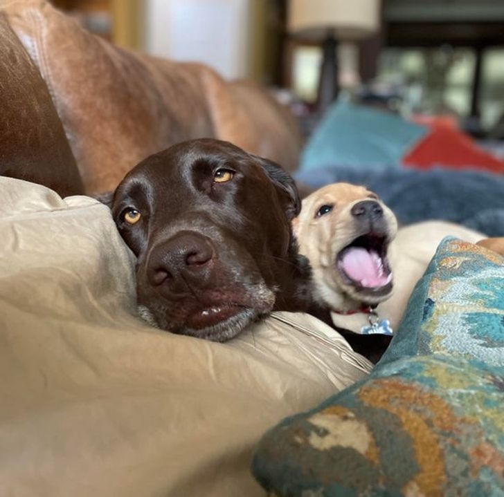 96996d5449afef78405554ae71