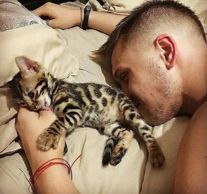 969a2f5fa79496cf6670a48618