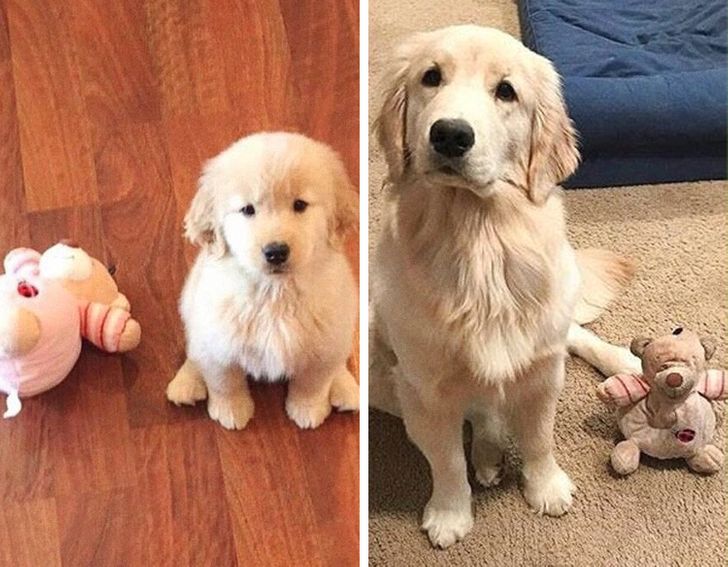 969b715dd0963f981b90e9a700