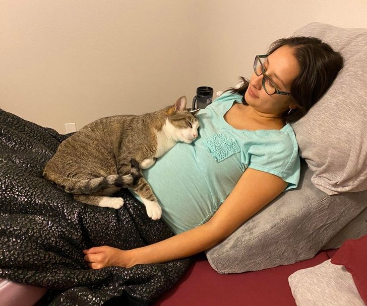 96a8355743833b333a112aec53