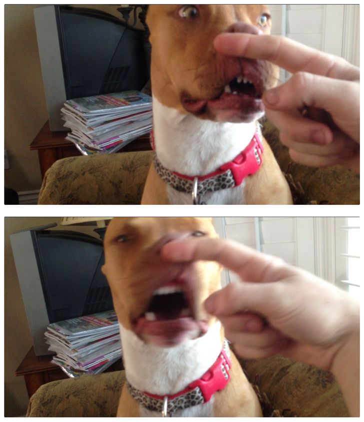 96ab155667a53375c2a1cb90ca