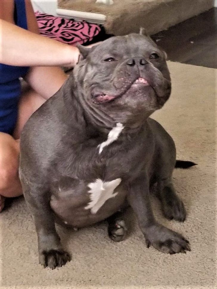 96aedf5ba8ac6d7d3283a101c1