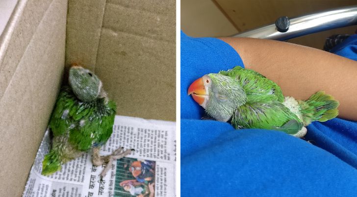 96b6ac5bf8b949cd277f6e9ea0