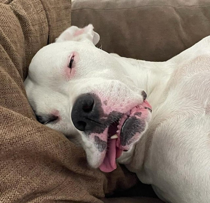 96b81f5fb8aac48218b988811d