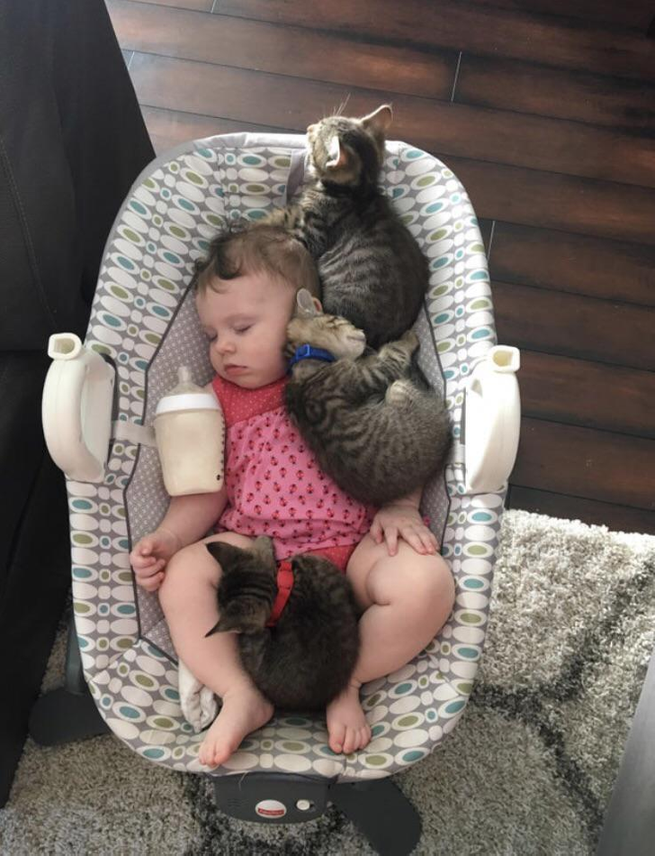 96b8395c3f9e8c10f376f24656