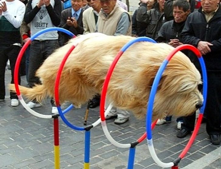 96bd3656289761d5d983c7d09b