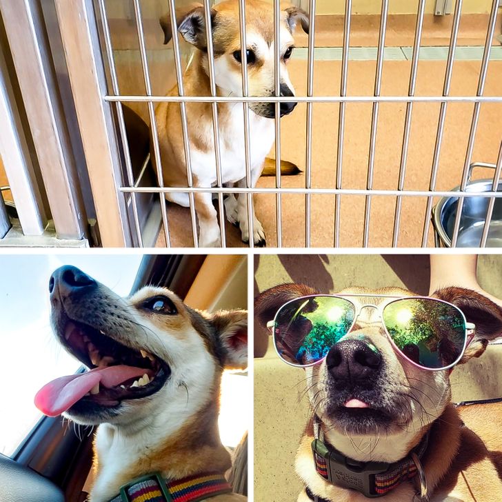 96bd7b517d890a1970867a0c5d