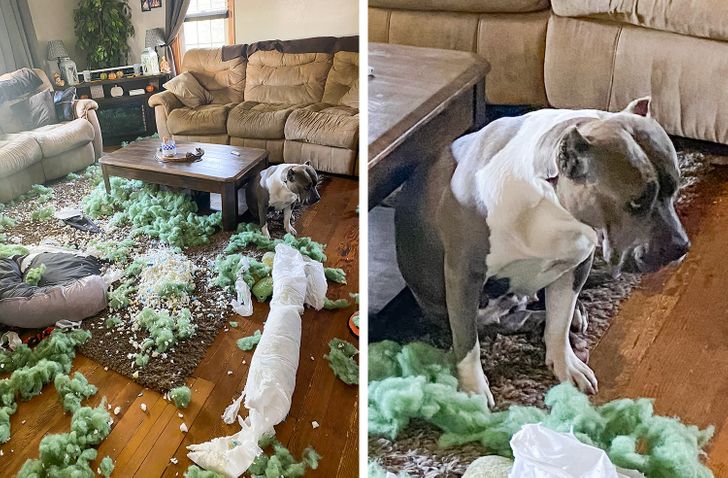 96bda45105beb5be30065d8799