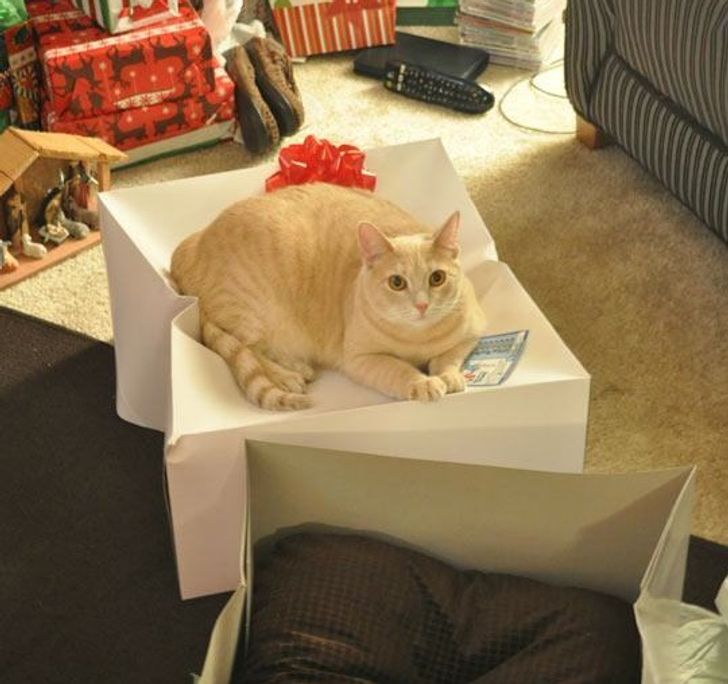 96bf755b398902ade808957fe7