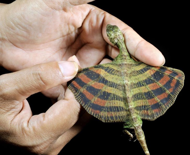 96c2e653e6a06d82a74fb01e33