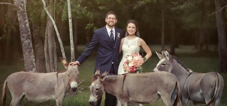 96c3e85f18b33380c8679d3a79