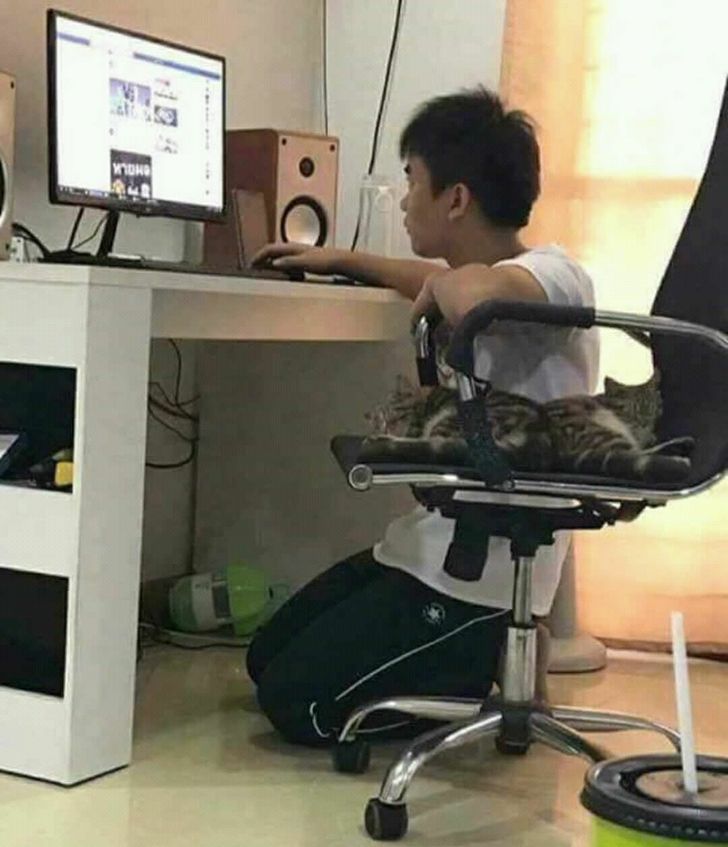 96c56f5aa18803b58000ae1708