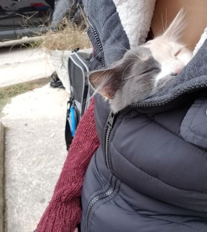 96cbc15484be56c8710bf34a2c