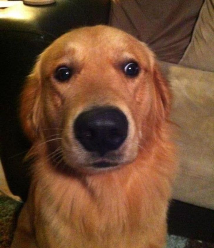 96cd105cefa425fede19bcd4ff